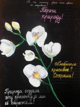 Кравченко Мария (всероссийский интернет-конкурс"Культура за зеленую планету")